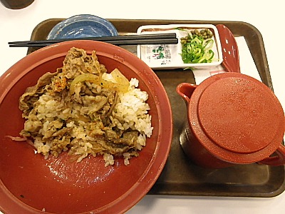 20110204_gyumabushi03.jpg